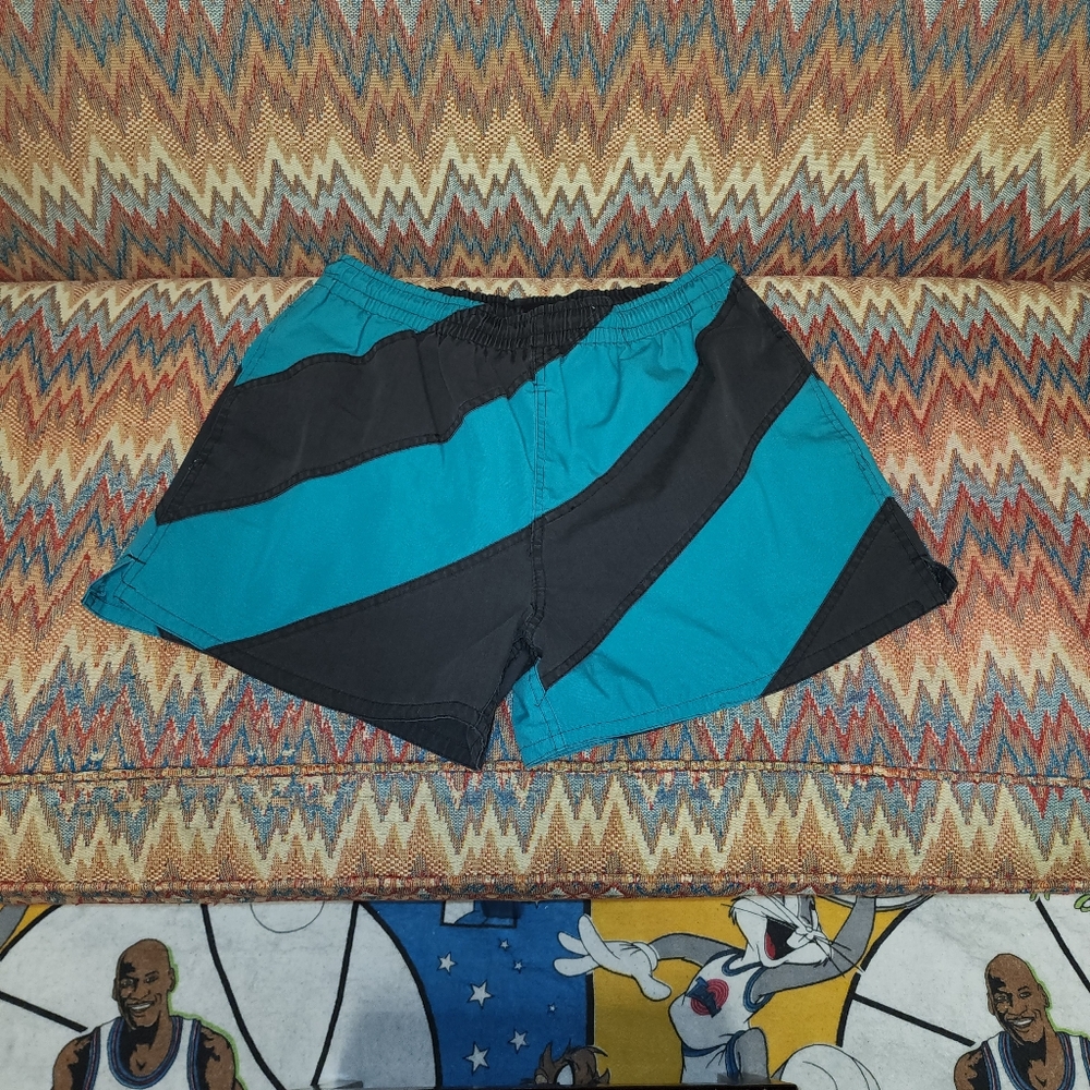 Vintage Striped Teal/Black Trunks Sz L